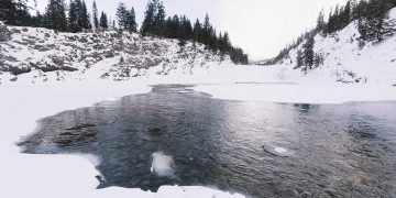 1917 – Πολεμικό δράμα