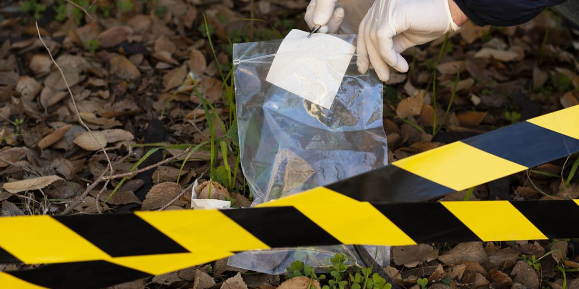 Στις Ρίζες του Εγκλήματος Σουηδική Σειρά